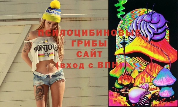 СК Ельня