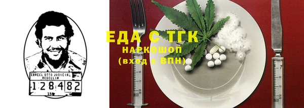 СК Ельня
