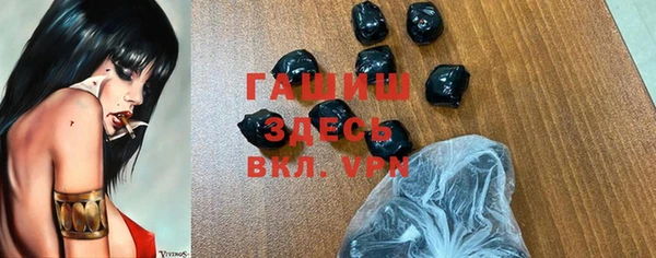 СК Ельня