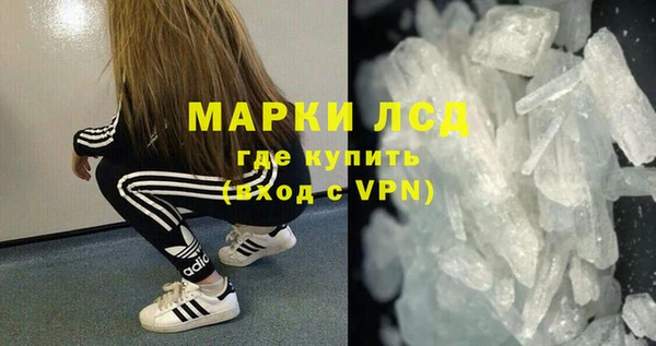 СК Ельня