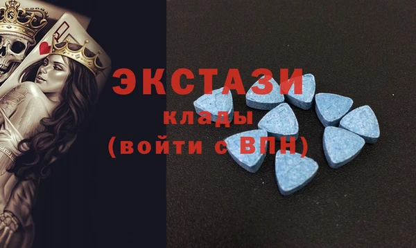 СК Ельня