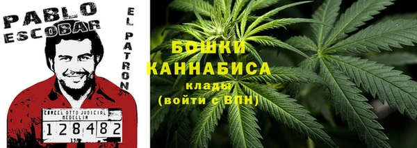 гашик Елизово