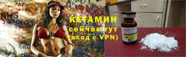 СК Ельня