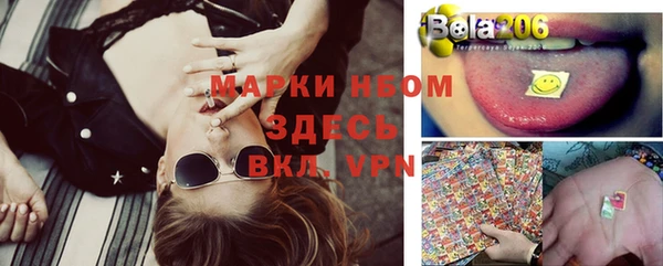бошки Елабуга