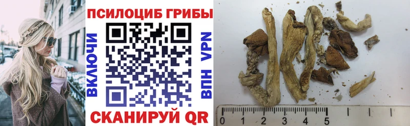 Галлюциногенные грибы GOLDEN TEACHER  Альметьевск 